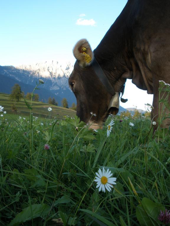 Pension Bauernhof Spielmann Mieming Ruang foto